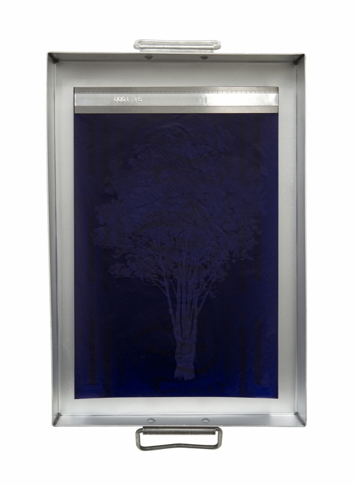 CARBONO14.0001, 2015