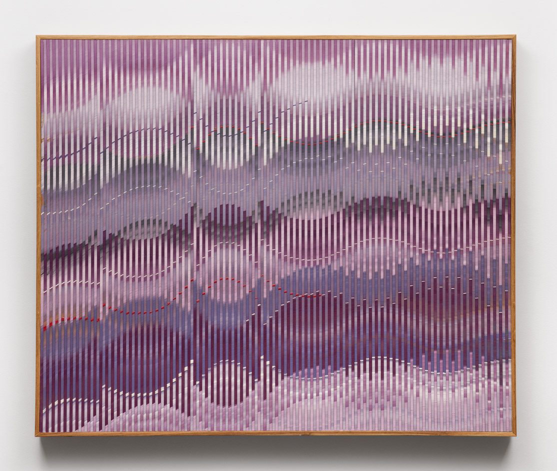 Abraham Palatnik | W-627, 2014