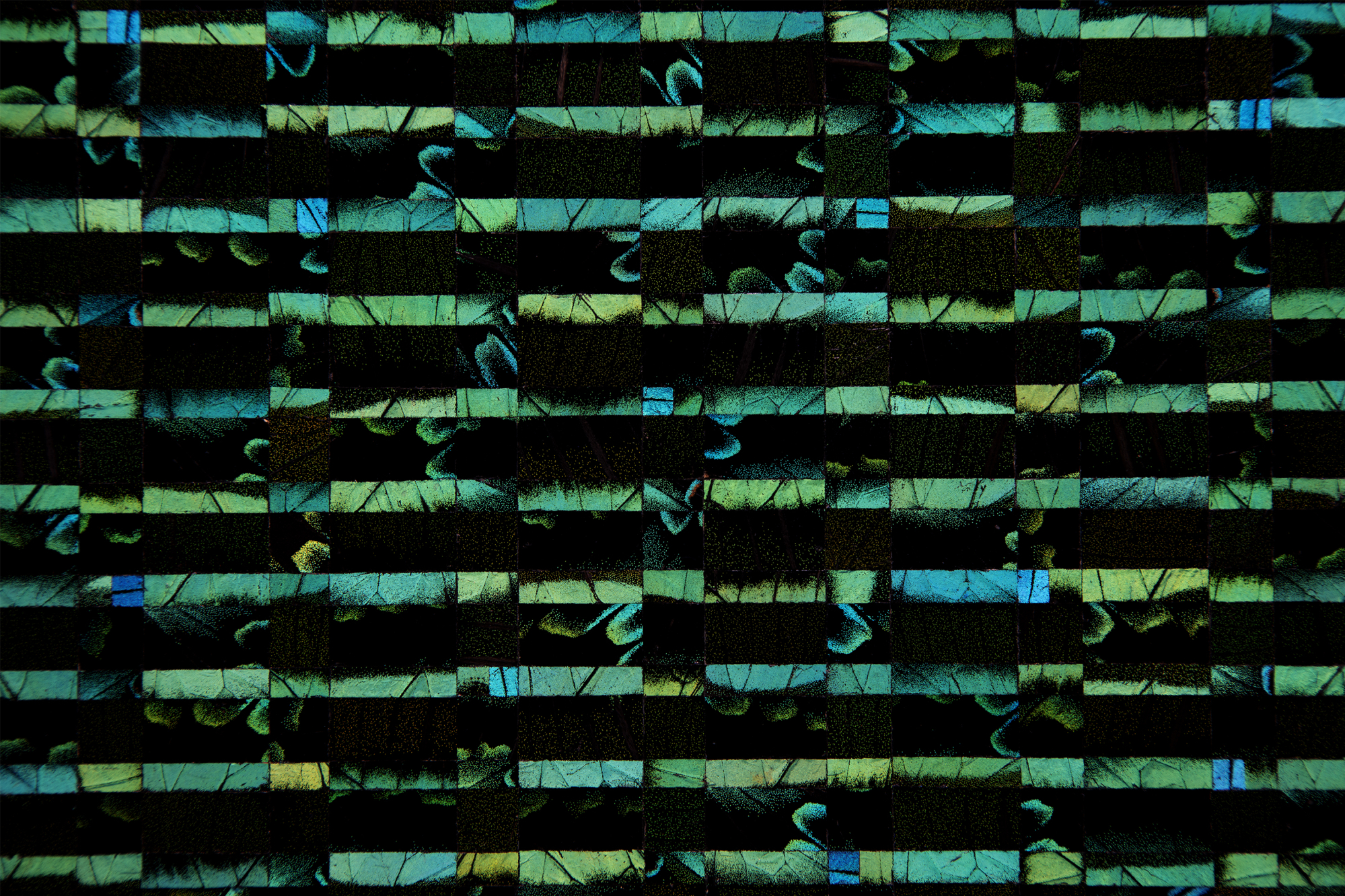 7,291 I Pa.Bl., 2025