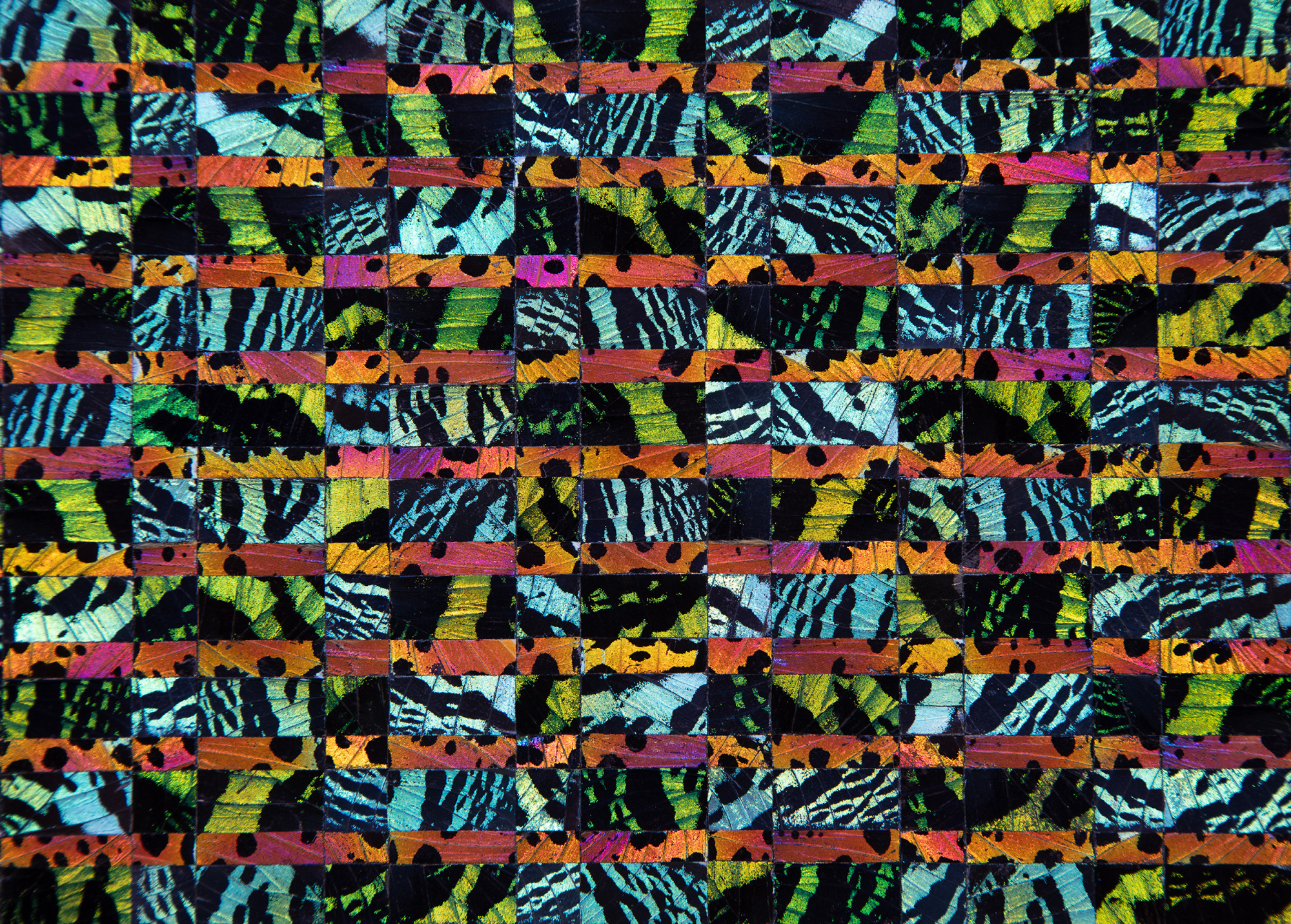 7,200  I Ur.Ri., 2025