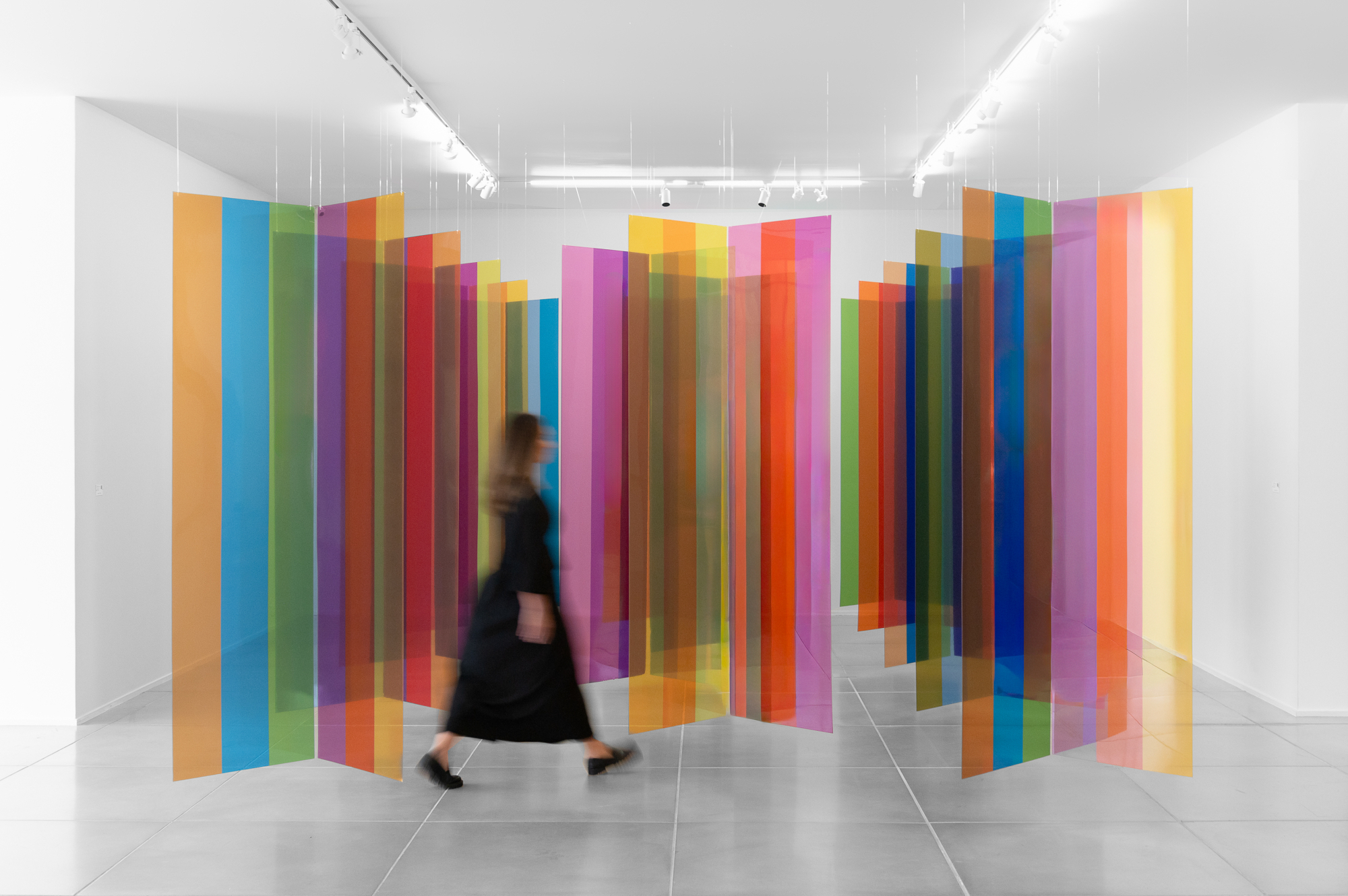 Laberinto de Transcromía Rachel, 2017