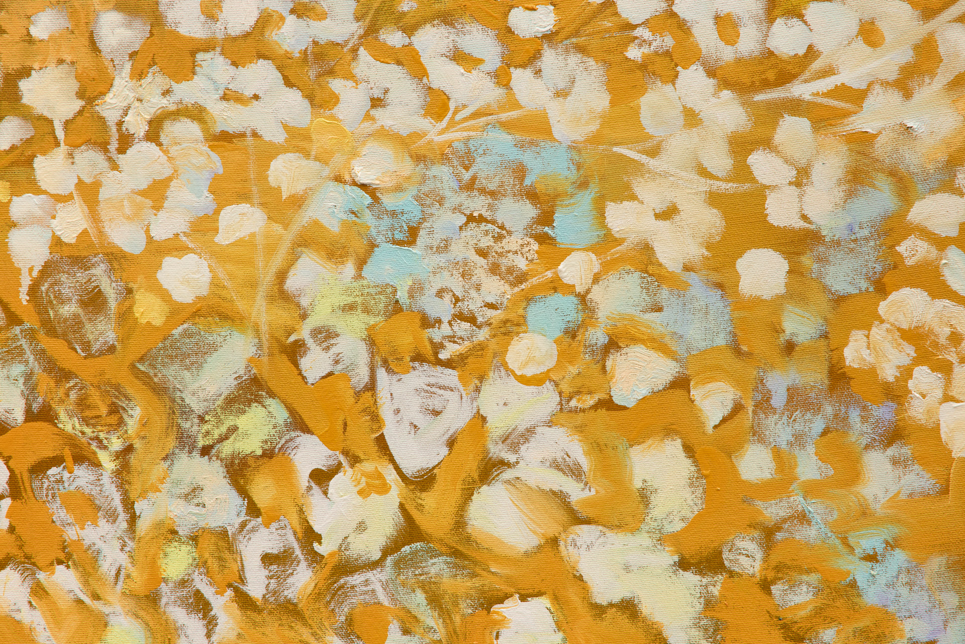 Ritmo da terra, 2026